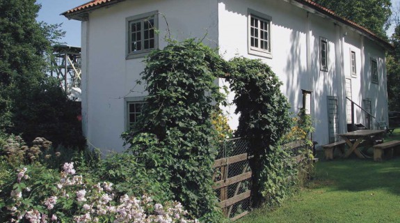 Linnes Sävja