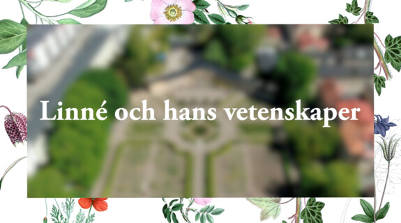 Linne_och_hans_vetenskaper_Still001